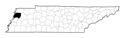 Dyer County in Tennessee