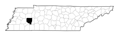 Henderson County in Tennessee