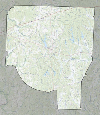 Henderson County TN USGS topo map