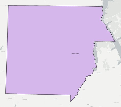 Henry County TN school district boundaries map