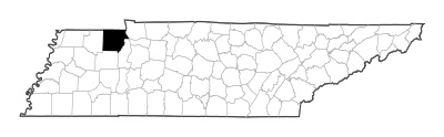 Henry County in Tennessee