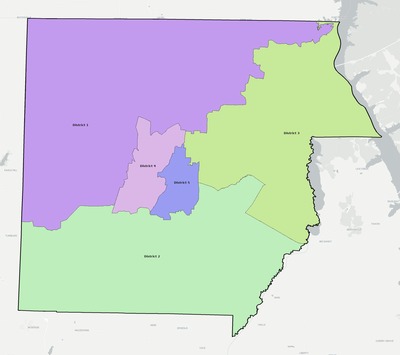 Henry County TN townships and subdivisions map