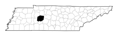 Hickman County in Tennessee