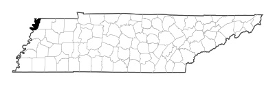 Lake County in Tennessee