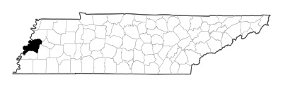 Lauderdale County in Tennessee