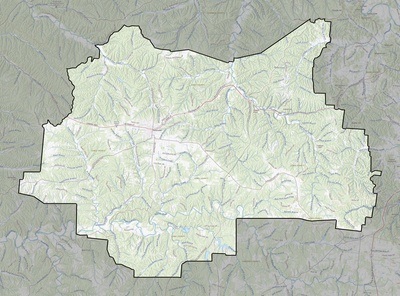 Lewis County TN USGS topo map