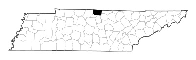 Macon County in Tennessee