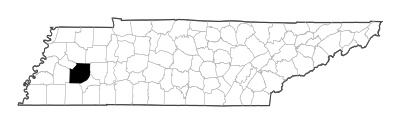 Madison County in Tennessee