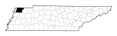 Obion County in Tennessee