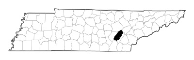 Rhea County in Tennessee