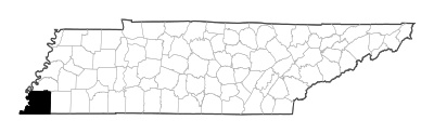 Shelby County in Tennessee