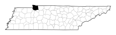 Stewart County in Tennessee