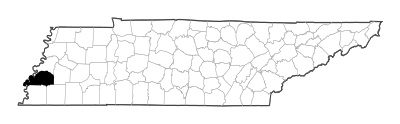 Tipton County in Tennessee