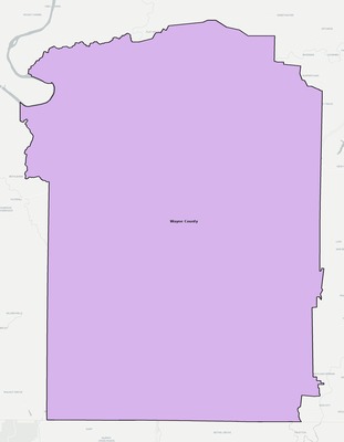 Wayne County TN school district boundaries map