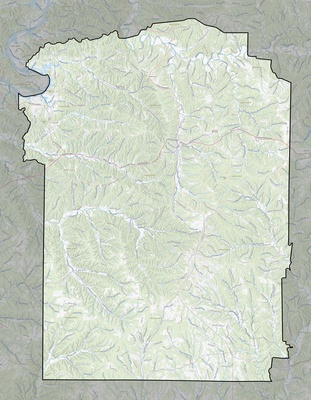 Wayne County TN USGS topo map
