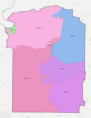 Wayne County TN townships and subdivisions map