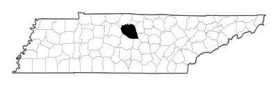 Wilson County in Tennessee