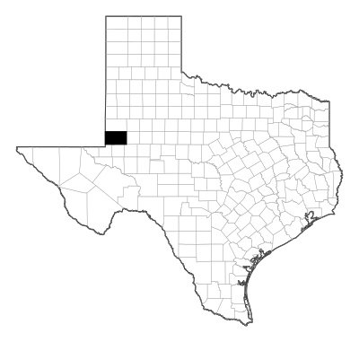 Andrews County in Texas