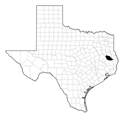 Angelina County in Texas
