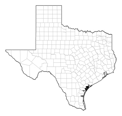 Aransas County in Texas