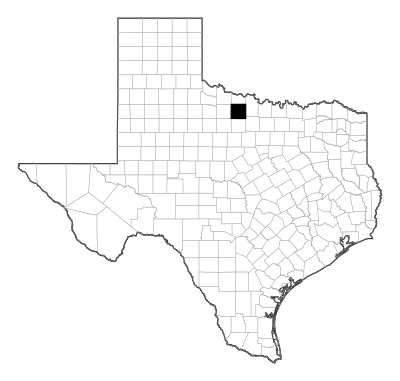 Archer County in Texas