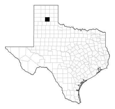Armstrong County in Texas