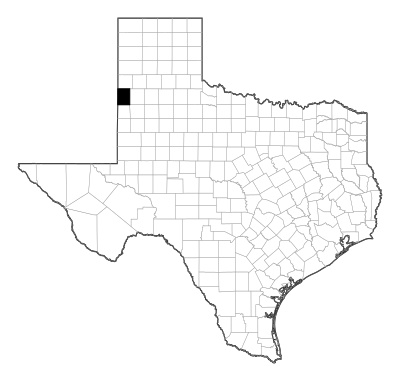 Bailey County in Texas