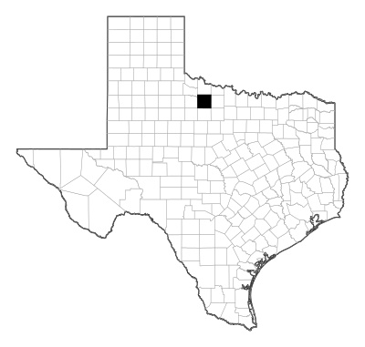Baylor County in Texas