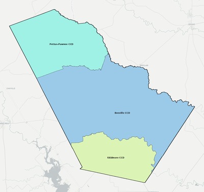 Bee County TX townships and subdivisions map