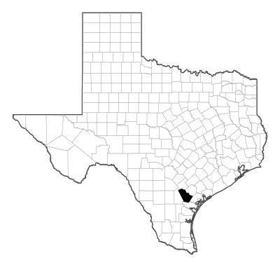 Bee County in Texas