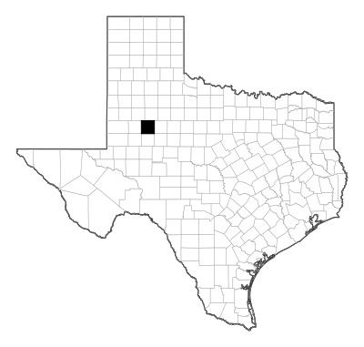 Borden County in Texas