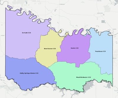 Bowie County TX townships and subdivisions map