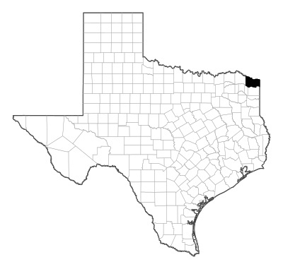 Bowie County in Texas