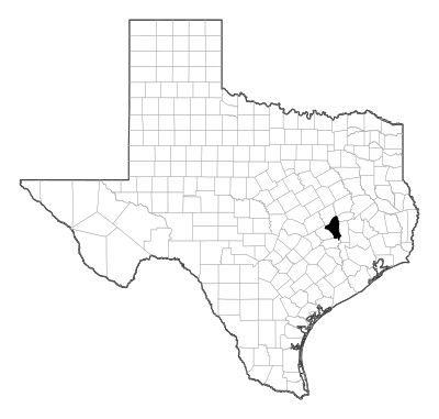 Brazos County in Texas
