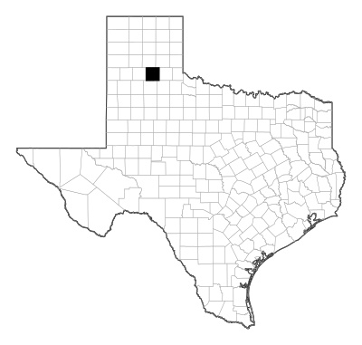 Briscoe County in Texas