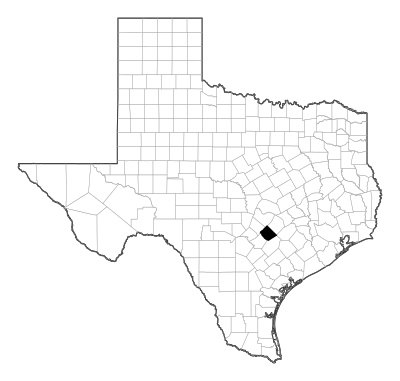 Caldwell County in Texas