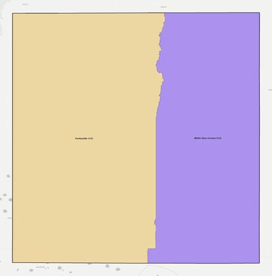 Carson County TX townships and subdivisions map