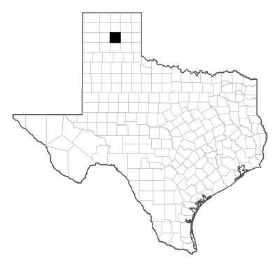 Carson County in Texas