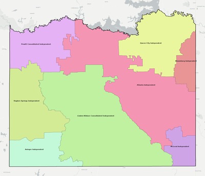 Cass County TX school district boundaries map