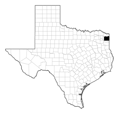 Cass County in Texas