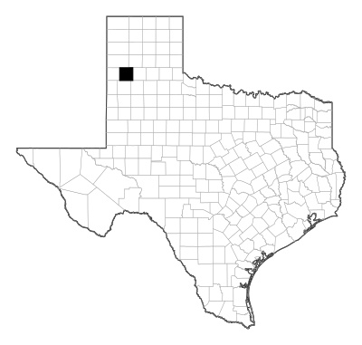 Castro County in Texas