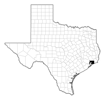 Chambers County in Texas
