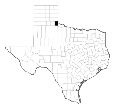 Childress County in Texas