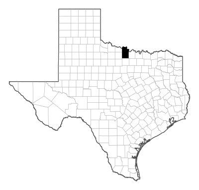Clay County in Texas