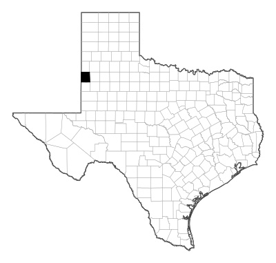 Cochran County in Texas
