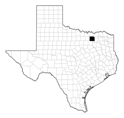 Collin County in Texas