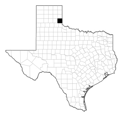 Collingsworth County in Texas