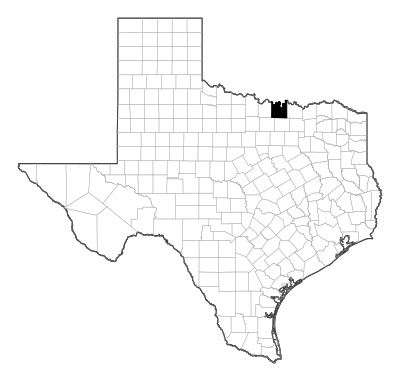 Cooke County in Texas