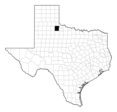 Cottle County in Texas