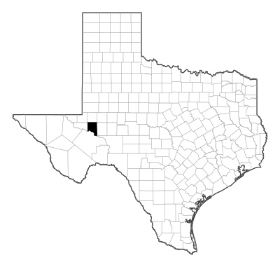 Crane County in Texas